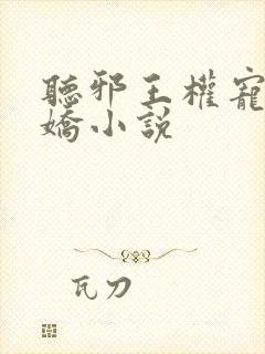 听邪王权宠掌心娇小说