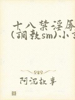 十八禁淫辱世界(调教sm)小说