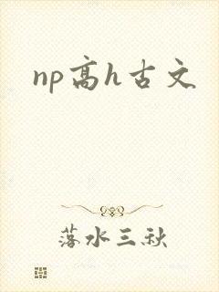 np高h古文封面