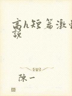 高h短篇激情小说