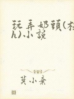 玩弄奶头(校园h)小说