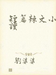 短篇辣文小说阅读