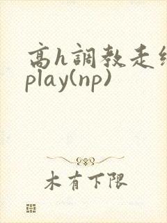 高h调教走绳 play(np)