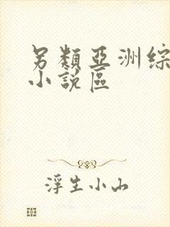 另类亚洲综合区小说区