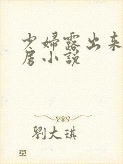 少妇露出来大乳房小说