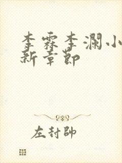 李霖李澜小说最新章节封面