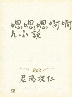 嗯嗯嗯啊啊啊高h小说