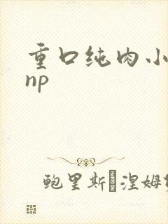 重口纯肉小说 np