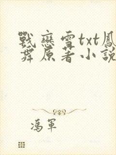 战恋雪txt凤舞原著小说封面