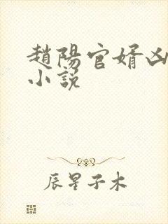 赵阳官婿凶猛的小说