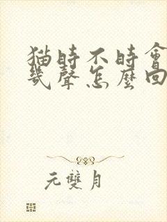 猫时不时会大叫几声怎么回事封面