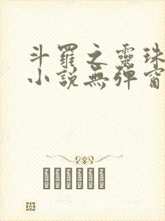 斗罗之灵珠神剑小说无弹窗全文免费阅读