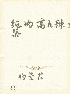纯肉高h辣文合集
