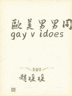 欧美男男同性恋gayⅴidoes
