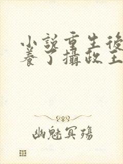 小说重生后我娇养了摄政王小说