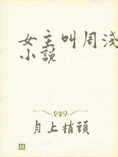 女主叫周浅浅的小说