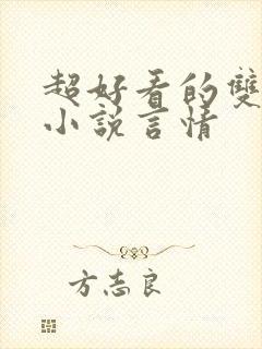 超好看的双男主小说言情