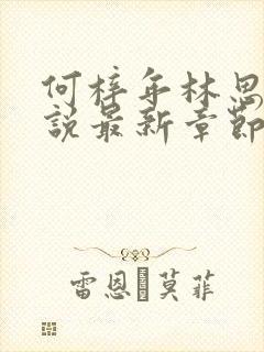 何梓年林思妤小说最新章节更新内容