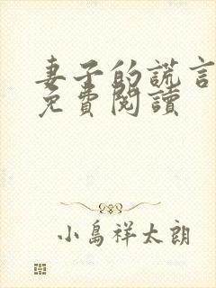 妻子的谎言小说免费阅读封面