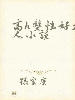 高h双性好大黑人小说