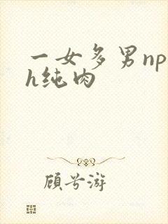 一女多男np高h纯肉
