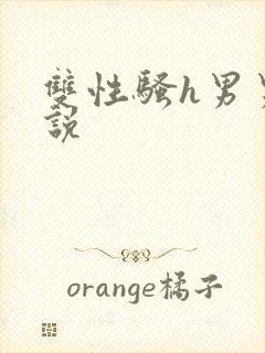 双性骚h男男小说封面