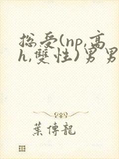 总受(np,高h,双性)男男