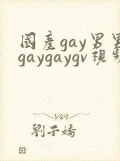 国产gay男男gaygaygv视频