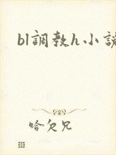 bl调教h小说