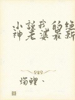 小说我的绝美女神老婆最新章节