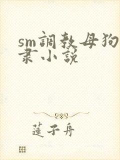 sm调教母狗奴隶小说