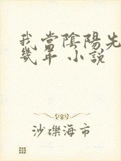 我当阴阳先生那几年 小说