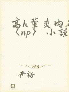 高h荤爽肉欲文〈np〉 小说