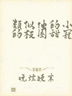 类似他的小仙女的校园甜宠文封面