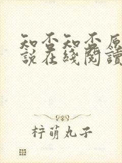 知否知否原著小说在线阅读