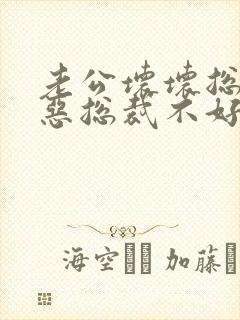 老公坏坏总裁邪恶总裁不好惹