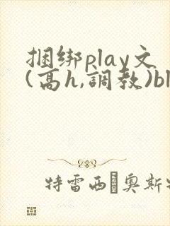 捆绑play文(高h,调教)bl