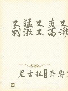 又猛又爽又粗又刺激又高潮的小说封面