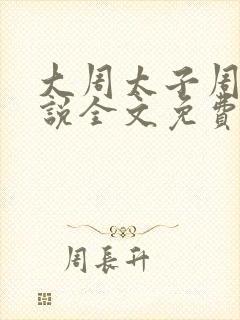 大周太子周铮小说全文免费阅读
