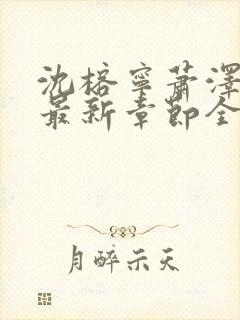 沈榕宁萧泽小说最新章节全文阅读