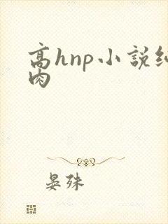 高hnp小说纯肉封面