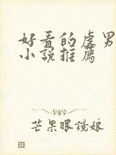 好看的虐男主的小说推荐封面