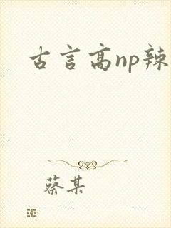 古言高np辣文封面