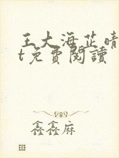 王大海芷晴txt免费阅读