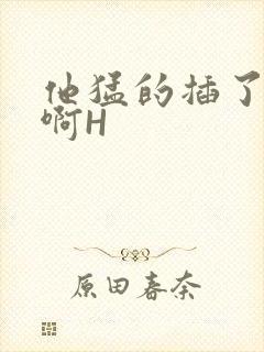 他猛的插了进去啊H