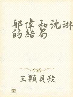 那伟和沈琳最后的结局封面