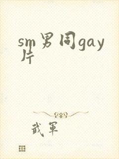 sm男同gay片