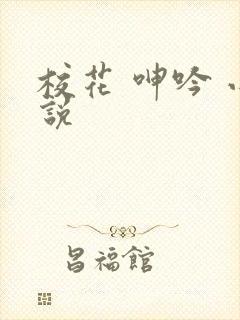 校花 呻吟 小说封面