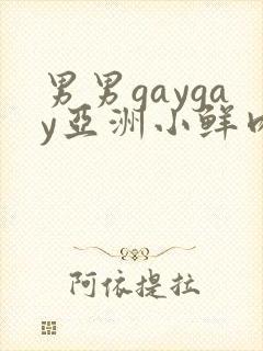 男男gaygay亚洲小鲜肉网站