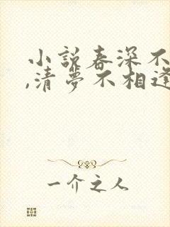 小说春深不归客,清梦不相逢